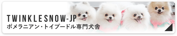 Twinklesnow トリミングサロン Petit Dog 岩手県盛岡市